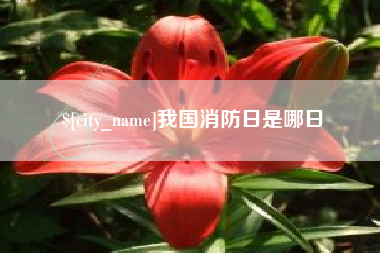 澄迈我国消防日是哪日