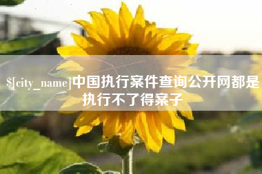 澄迈中国执行案件查询公开网都是执行不了得案子