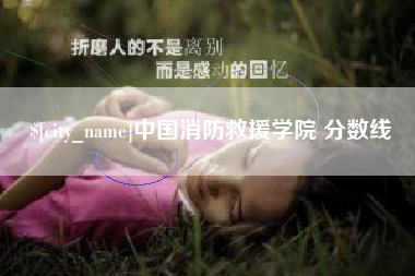 澄迈中国消防救援学院 分数线