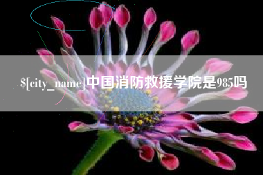 澄迈中国消防救援学院是985吗
