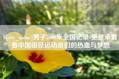 澄迈男子5000米全国记录-更是承载着中国田径运动员们的热血与梦想