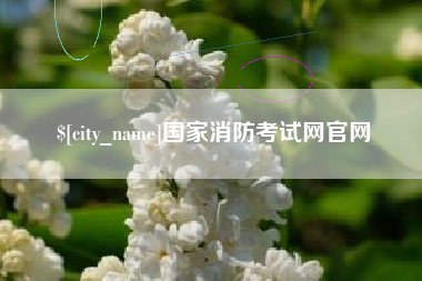 澄迈国家消防考试网官网
