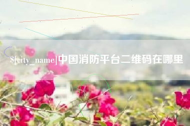 澄迈中国消防平台二维码在哪里