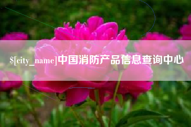 澄迈中国消防产品信息查询中心