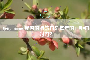 澄迈我国的消防日是每年的11月9日对吗？