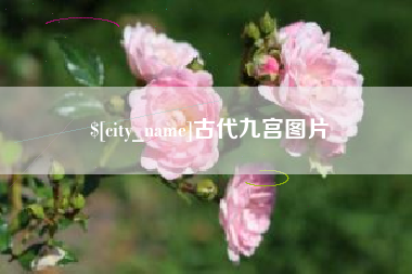 澄迈古代九宫图片