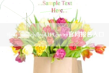 澄迈xfhyjd.119.gov cn官网报名入口