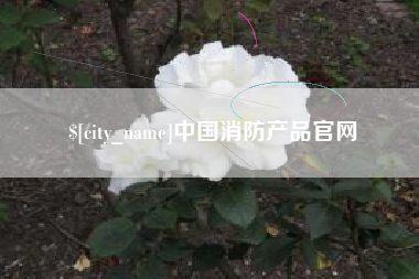 澄迈中国消防产品官网