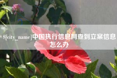 澄迈中国执行信息网查到立案信息怎么办