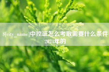 澄迈中控证怎么考取需要什么条件2024年的