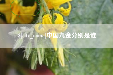 澄迈中国九金分别是谁