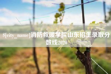 澄迈消防救援学院山东招生录取分数线2020