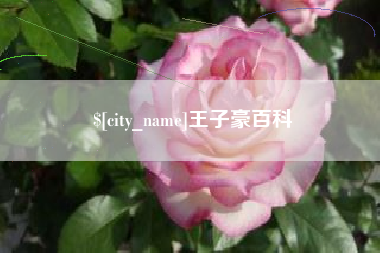 澄迈王子豪百科