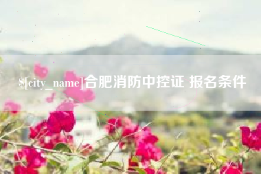 澄迈合肥消防中控证 报名条件