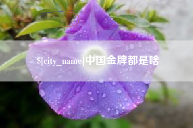 澄迈中国金牌都是啥