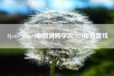 澄迈中国消防学院2024年分数线