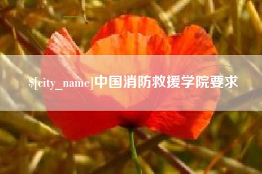澄迈中国消防救援学院要求