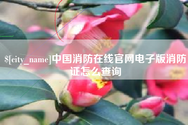 澄迈中国消防在线官网电子版消防证怎么查询