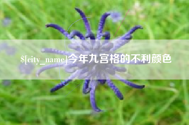 澄迈今年九宫格的不利颜色