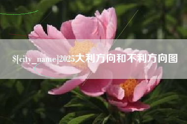 澄迈2025大利方向和不利方向图