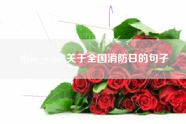 澄迈关于全国消防日的句子