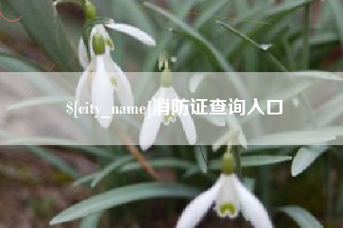 澄迈消防证查询入口