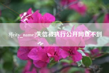 澄迈失信被执行公开网查不到