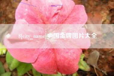 澄迈中国金牌图片大全