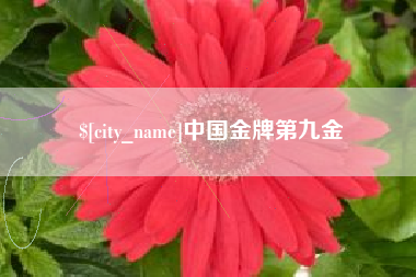 澄迈中国金牌第九金