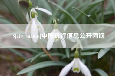 澄迈中国执行信息公开网询