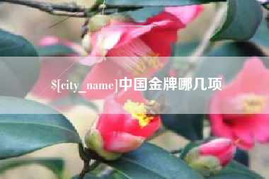 澄迈中国金牌哪几项