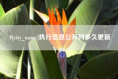 澄迈执行信息公开网多久更新
