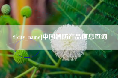 澄迈中国消防产品信息查询