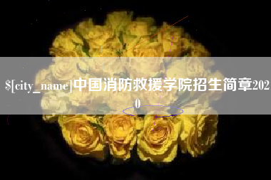 澄迈中国消防救援学院招生简章2020