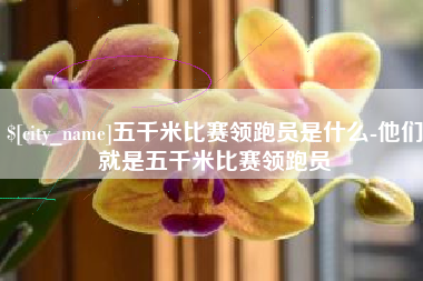 澄迈五千米比赛领跑员是什么-他们就是五千米比赛领跑员