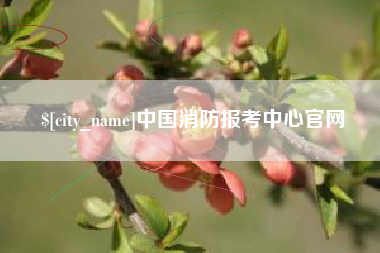 澄迈中国消防报考中心官网