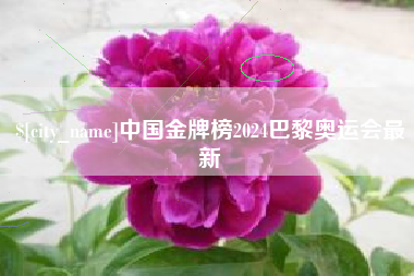 澄迈中国金牌榜2024巴黎奥运会最新