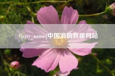 澄迈中国消防救援网站