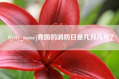 澄迈我国的消防日是几月几号？