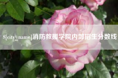 澄迈消防救援学院内部招生分数线