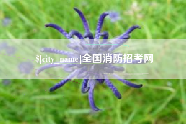 澄迈全国消防招考网