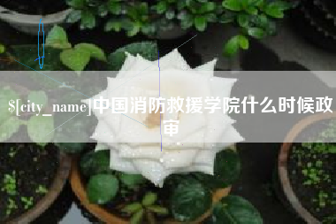 澄迈中国消防救援学院什么时候政审