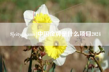 澄迈中国金牌是什么项目2024