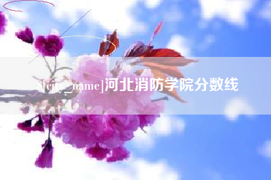 澄迈河北消防学院分数线