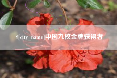 澄迈中国九枚金牌获得者