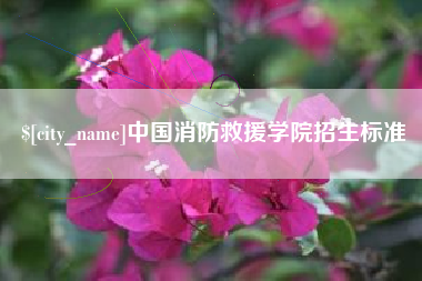 澄迈中国消防救援学院招生标准