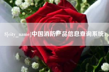 澄迈中国消防产品信息查询系统1