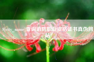 澄迈查询消防职业资格证书真伪网站