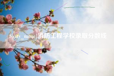澄迈消防工程学校录取分数线