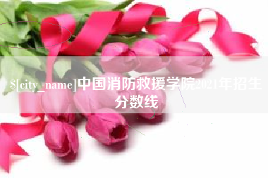 澄迈中国消防救援学院2021年招生分数线